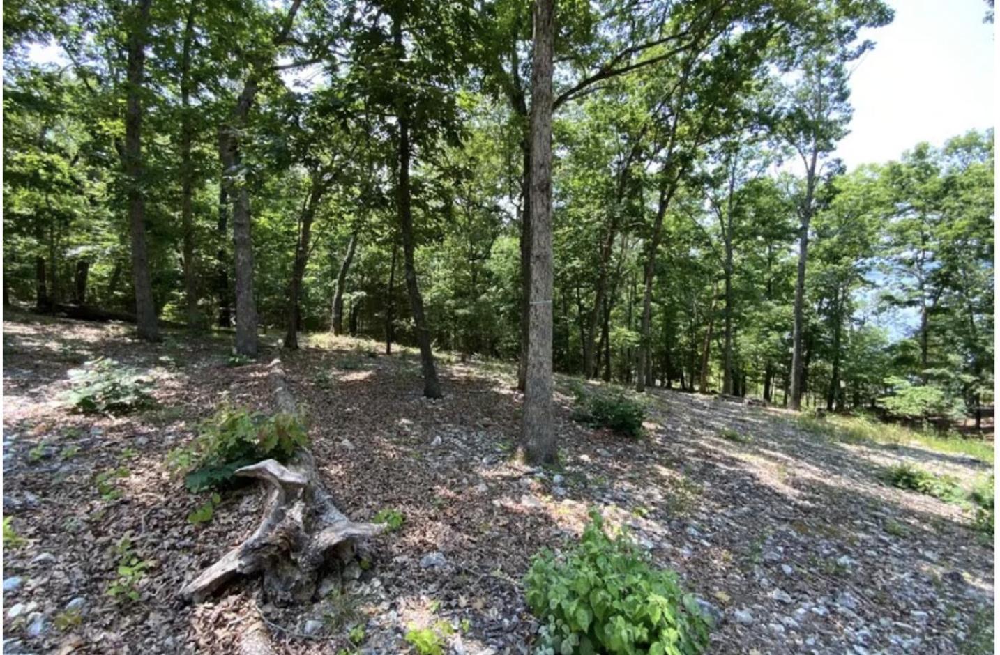 Driftwood Resort Bull Shoals ภายนอก รูปภาพ