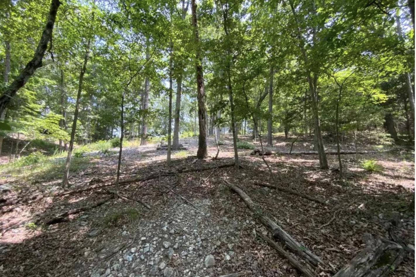 Driftwood Resort Bull Shoals ภายนอก รูปภาพ