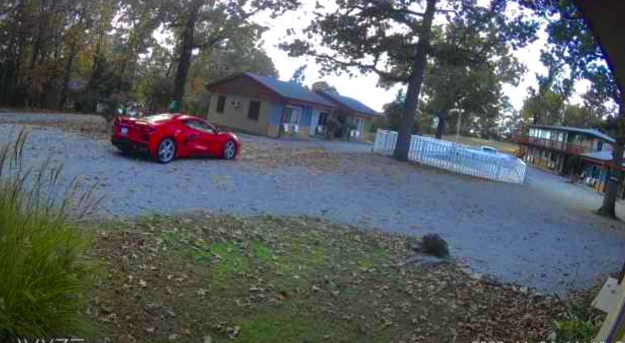 Driftwood Resort Bull Shoals ภายนอก รูปภาพ